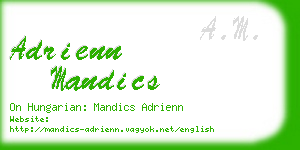 adrienn mandics business card